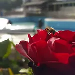 Tu Casa Gelidonya 4* Kemer